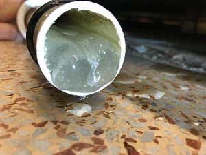 sauermann biofilm si-1931 gel clear