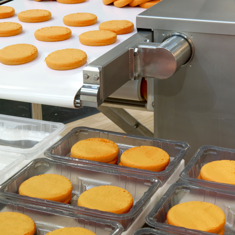 solución producción de alimentos