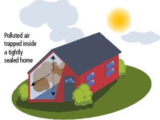 polluted air inhouse