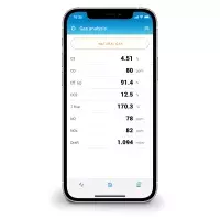 Appli Sauermann Combustion