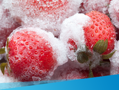 Frozen strawberry
