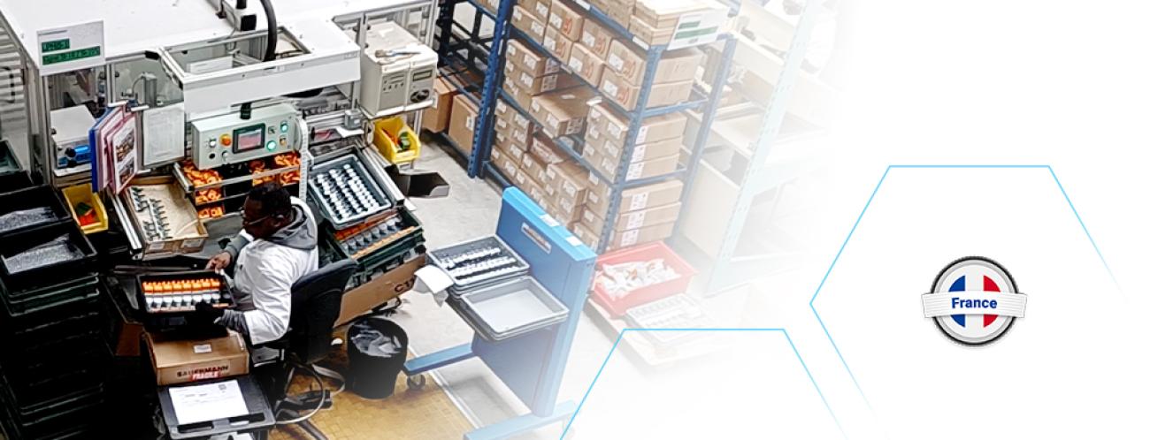 sauermann pumps made in france