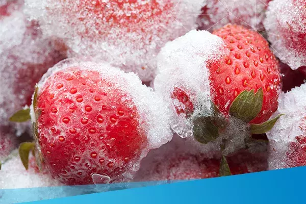 Frozen strawberry